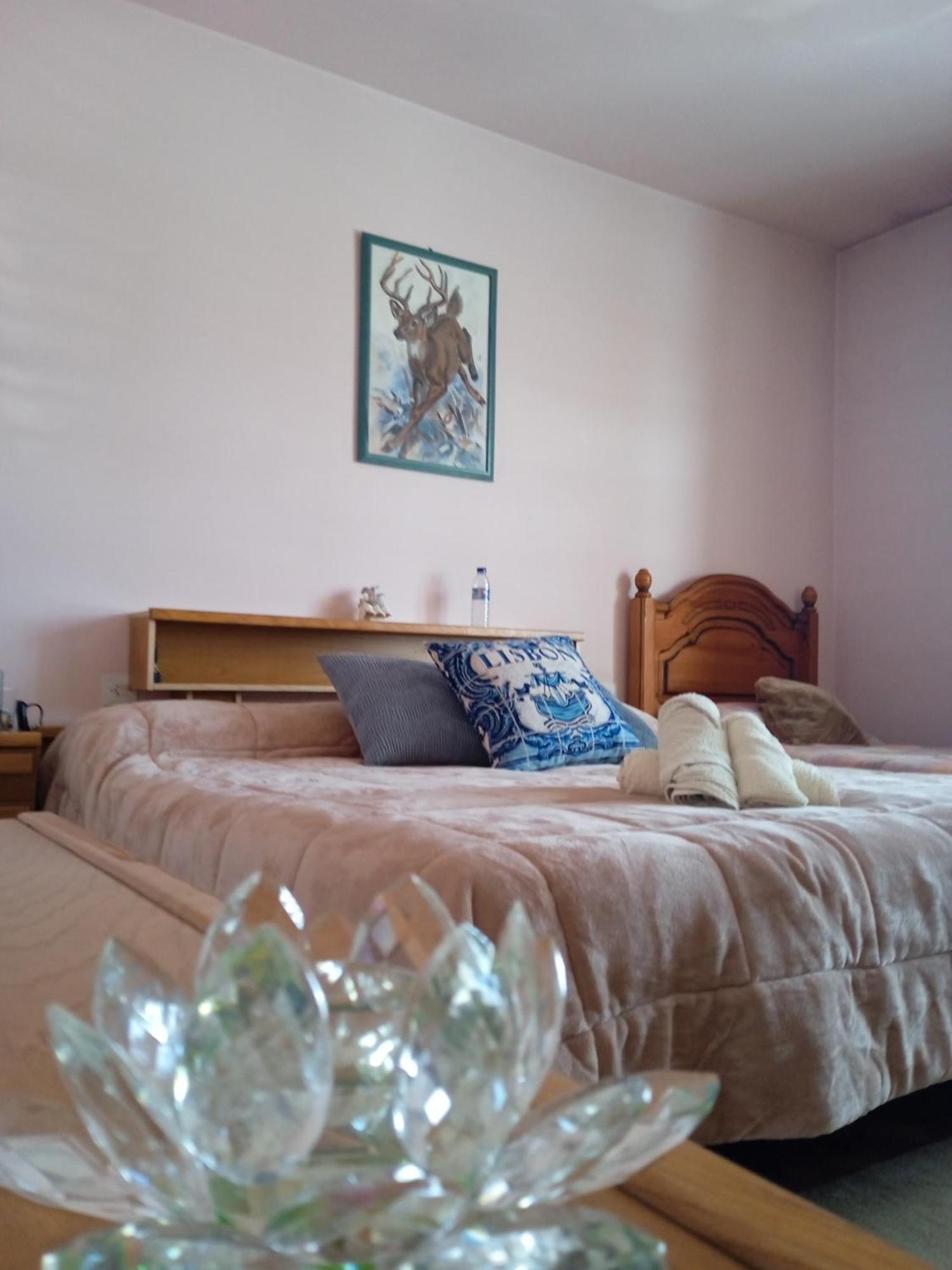 A Casa De Abelleira Ponteareas住宿加早餐旅馆 外观 照片